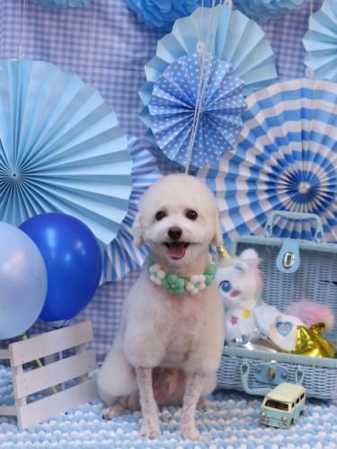 20231105ふぁるくん